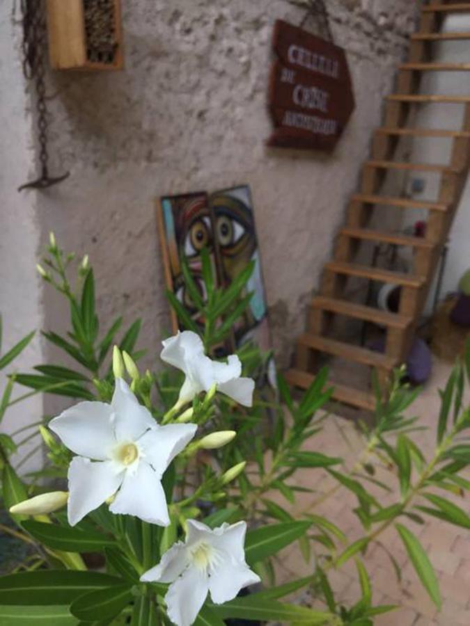 La Grange De La Batone - Bed And Breakfast Messimy-sur-Saone Exterior photo